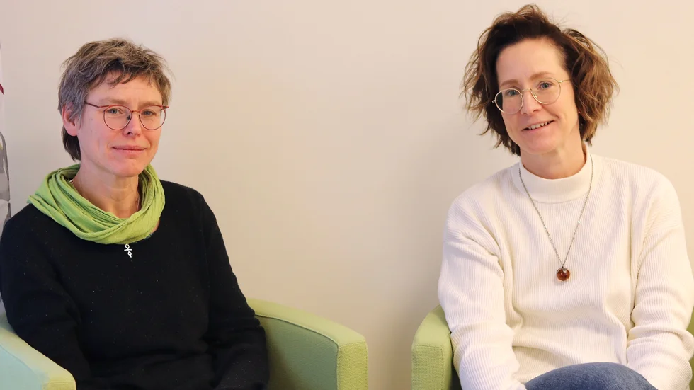 Johanna Sundqvist, överläkare vid kvinnokliniken i Skellefteå och Kaisa Edström, aurorabarnmorska i Skellefteå, möter många kvinnor som önskar planerat kejsarsnitt.
