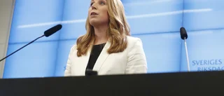 "Centerpartiet släppte in SD i stugvärmen"