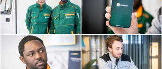 Visbystudenternas nya app • Kör hem mat under timmen • "Det ska vara lätt för alla att handla mat"