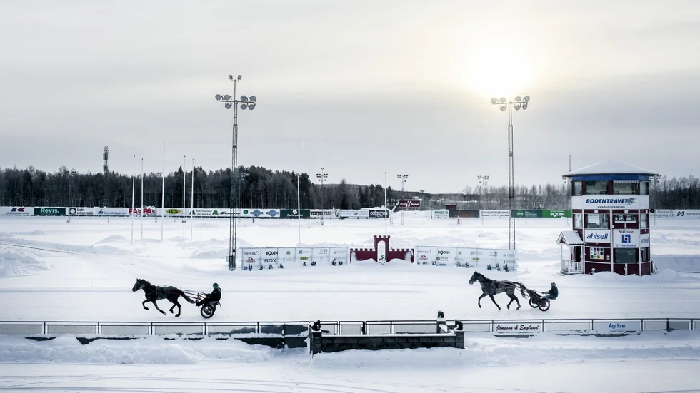 Två hästar i träning på Bodentravet. Tävlar gör man året runt på den nordligaste åretruntbanan i Sverige.