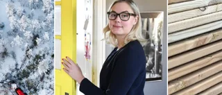 Uppmuntrar till fler träbyggnader i kommunen: ”Material med låg klimatpåverkan”