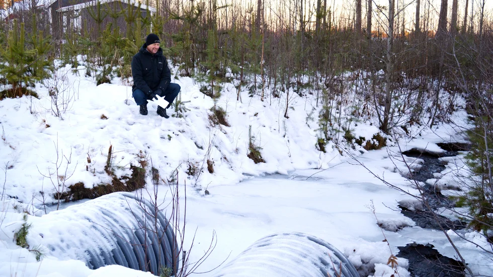 Prover i bäcken. Christer Svensson, projektledare för gator och parker på samhällsbyggnad, berättar att prover har tagits i Falkträskbäcken. Foto: Susanne Lindberg.