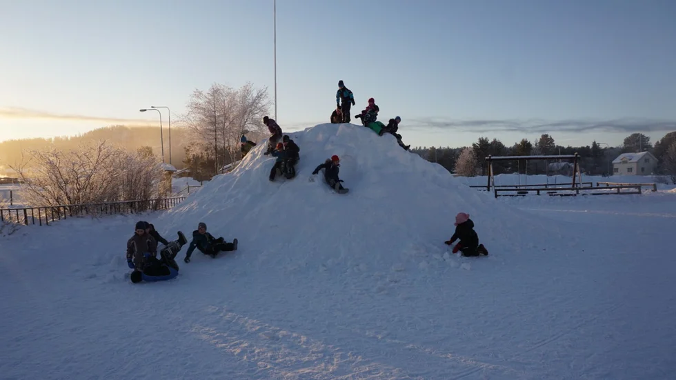 Experterna. En hel (snö)hög med köldexperter. 