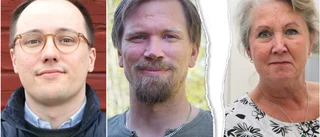 Maktskifte uteblir i Arjeplog – Liberalerna backar från samverkan med FIA, C och V: "Vi har aldrig lovat något"