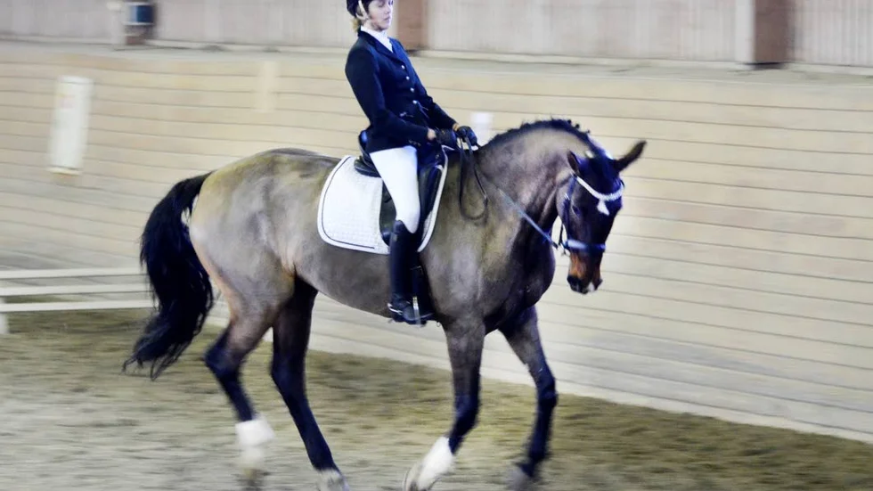 SAMLAT. Emelie Hayland tävlade på Corty Love M för Piteå rid- och körsällskap och bjöd på dagens mest samlade ritt. Här i en samspelt galopp.