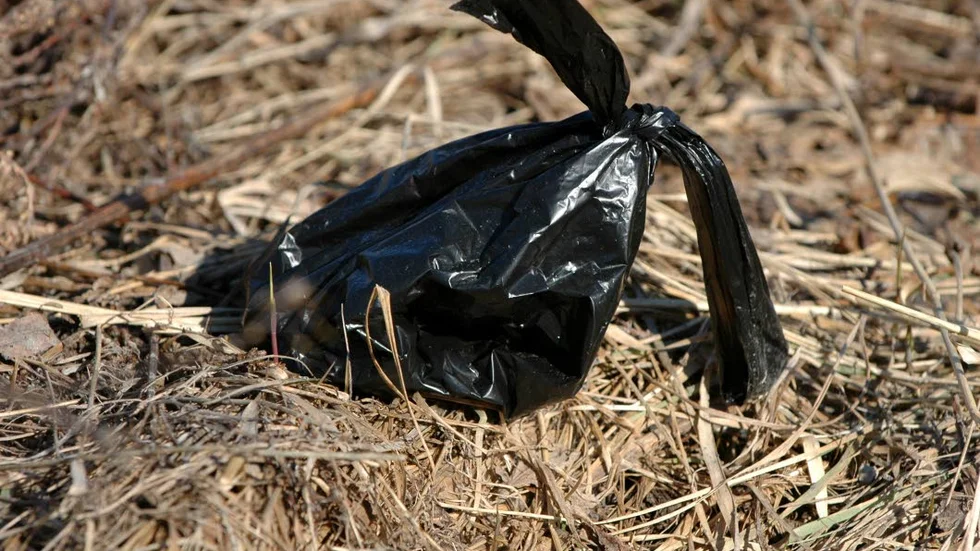 Hur tänkte vi nu? Det undrar insändarskribenten. (Arkivbild). 