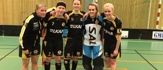 Kiruna AIF:s dröm lever vidare: "Får bära eller brista"
