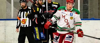Sylvegård matchhjälte – då hyllar han Asplövenstjärnan