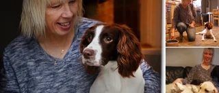 Åsas hund Malva överlevde mot alla odds • Dödliga hundsjukdomen sprids nu över ön • Veterinären tipsar
