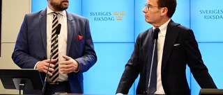 "Hédi Fried" fyller Kristerssons Instagramflöde
