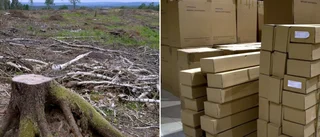Hur har vi råd att använda skogen till papp?