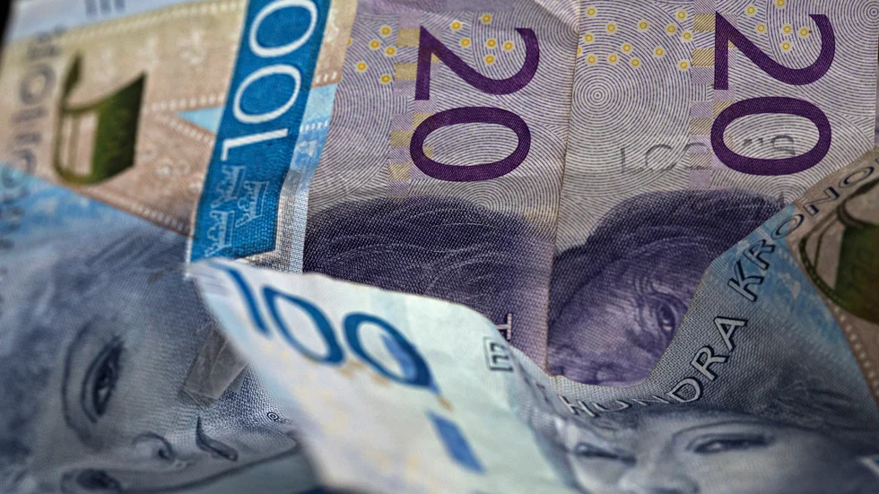Säpo har varnat för att statligt stöd går till att finansiera våldsbejakande och antidemokratiska organisationer. Arkivbild.