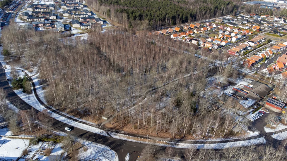 I skogsområdet mellan bostadsområdet Torvmossen och Bergsätter förskola planeras för ett område med radhus och flerbostadshus.