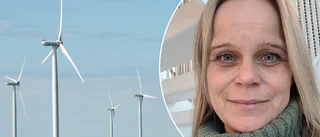 Forskaren spräcker miljömyter om vindparker till havs