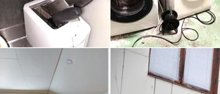 Efter razzior i Skellefteå: Hus stoppas som boenden