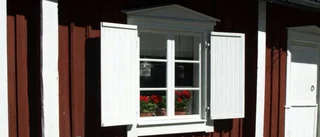 Pelargonens intåg i stugan – en klassresa