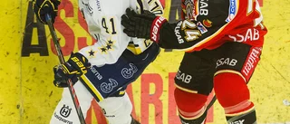 Ledin: "Vi skäller ut varandra"