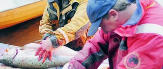 Vill se tillägg om "fiske för husbehov"