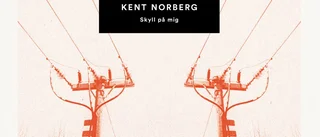 Skivrecension: Sydstatskänsla på svenska, med (lite) hjälp från Luleå