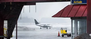Avies i konkurs