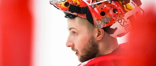 Nya regler i SHL: ”Det kan bli roligare hockey”