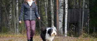 Förslag: Sätt föräldrar i skolbänken