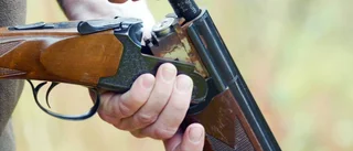Kräver snabbare vapenlicens