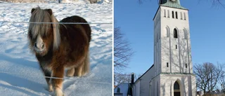 Barnens helg – ponnyridning eller berättarstund?