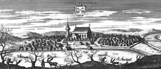 En stormans uppgång och fall