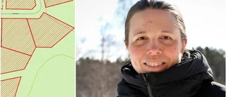 Förslaget: Det här ska nya tomtkvarteren heta