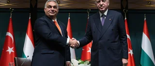 Kryperi för Turkiet gör oss inte till ett Natoland