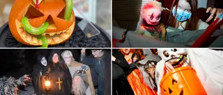 Kolla in skolans Hooja-imitation • Hur ser ditt halloweenfirande ut? Skicka in din läskigaste bild!