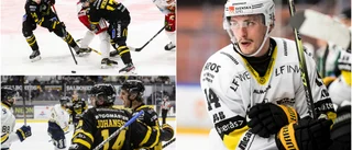Piteå Hockey tar in spelare med allsvenska meriter • Han öppnar för fler framträdanden: "Stänger inga dörrar"