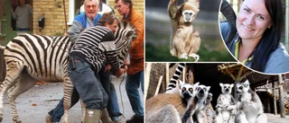 Frida, Tarzan och familjen lemur – djurrymningar vi minns