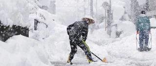 Flera döda i snöoväder i Japan