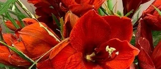 Bukett från Blomsterglädje i Motala