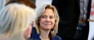 En kall vindil drar genom träden