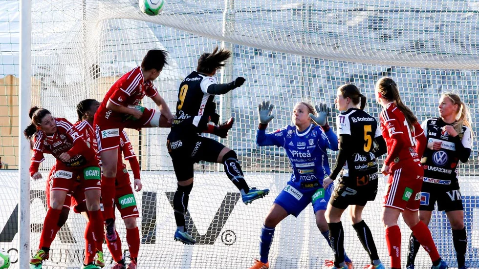 Drömstarten. Målvakten Hilda Carlén har gjort succé i Piteå IF-tröjan. Nu hyllas hon av Pia Sundhage.