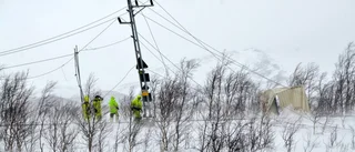 Utredningen: för dåligt förankrat