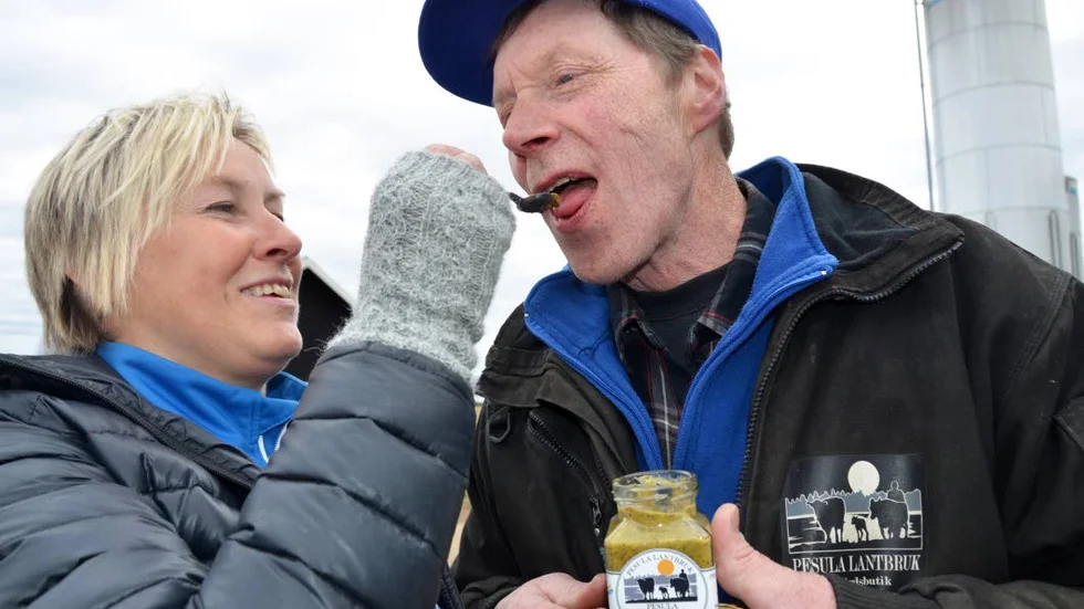 ”MUMS!” Åsa Pesula låter maken Per Pesula provsmaka världens nordligast odlade senap.