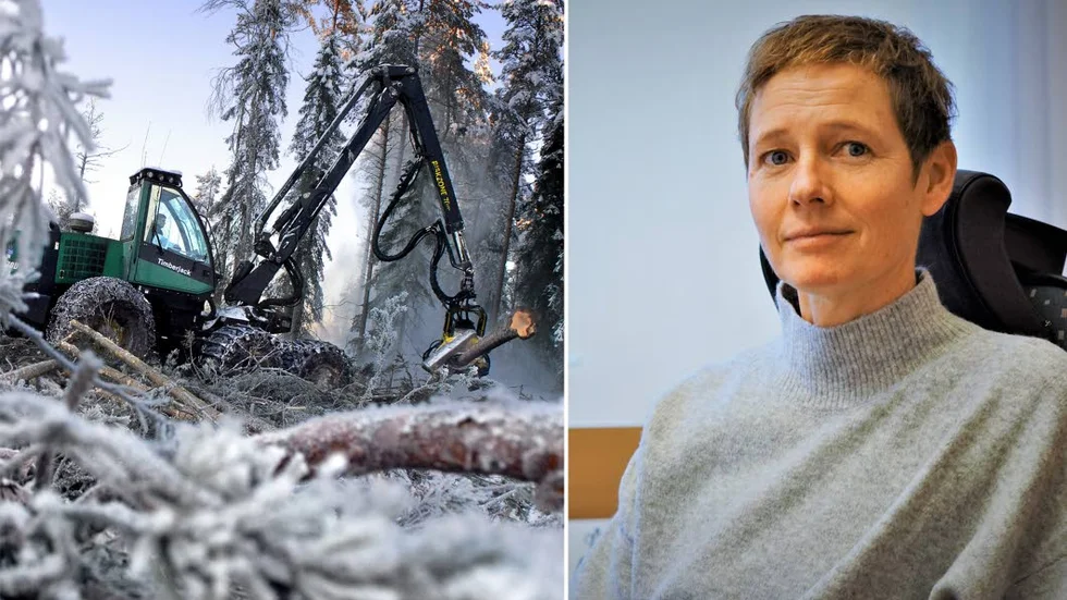 Skogsmaskinerna ska i framtiden kunna fjärrstyras. Linnea Carlsson, teknikspecialist vid Sveaskog, berättar om projektet som bland annat kommer att testas i Norrbotten.