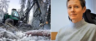 Skogsmaskiner snart förarlösa