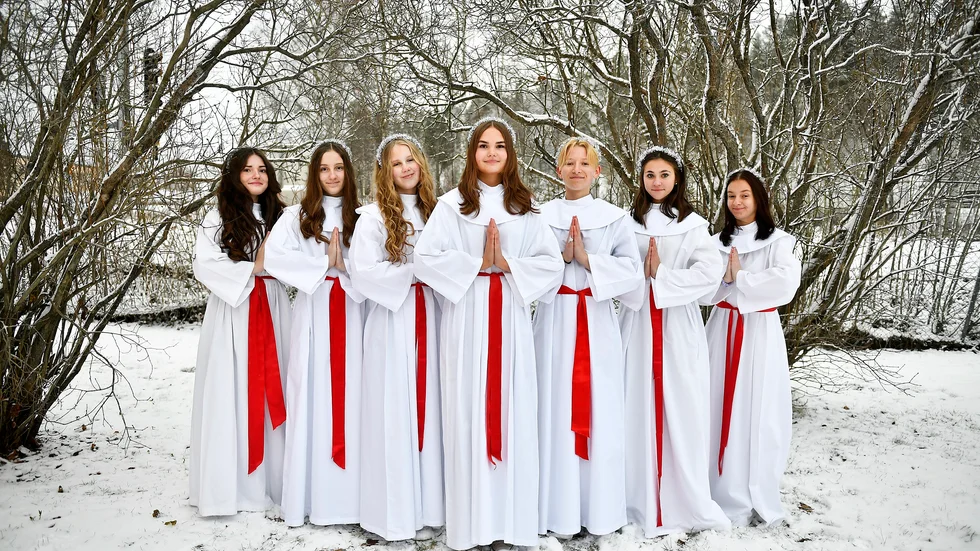 Årets lucior är, från vänster till höger, Emelina Gjoliku Laisfeldt, Alva Kercoff, Esther Lundholm Larsson, Milla Holmström, Naemi Sevdin, Nelly Ljuslinder och Melina Dahnelius. Alva Kercoff kommer inte ställa upp i tävlingen då hon var lucia i fjol.