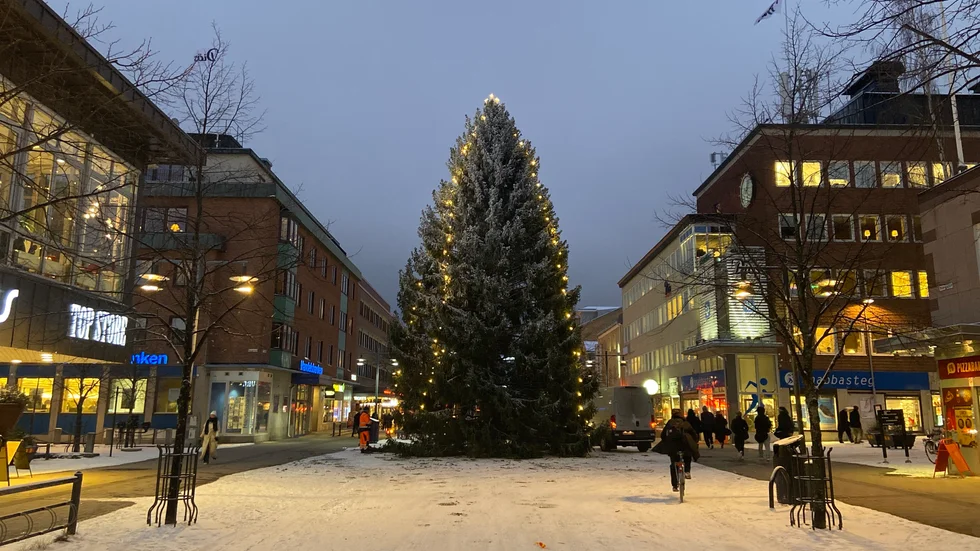Nu är årets gran på plats i centrala Luleå, en Gammelstadsgran.