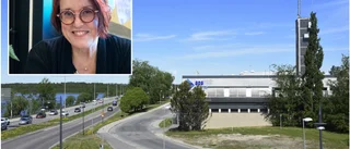 Förslaget: Ett kulturhus för barn i Luleå