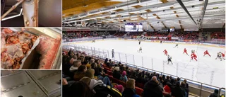 Mögel och bristande hygien upptäcktes i Gränbyhallen