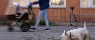 Nya larm om bullar med glaskross i Malmö