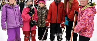 Bildextra: Så ska tjejernas hockeyintresse växa
