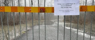 Mångfald är motstånd mot extrema väderhändelser