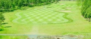 Golfbanan i Loftahammar får beröm